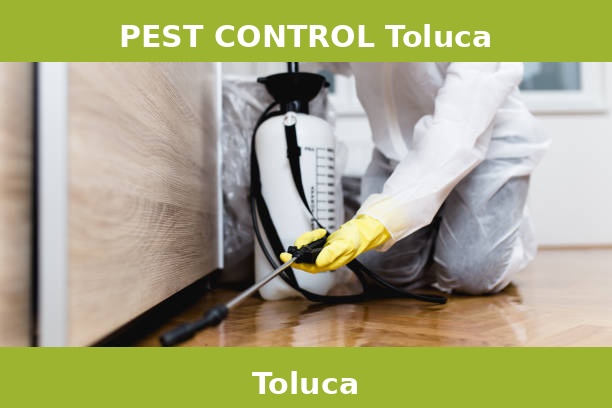 PEST CONTROL Toluca